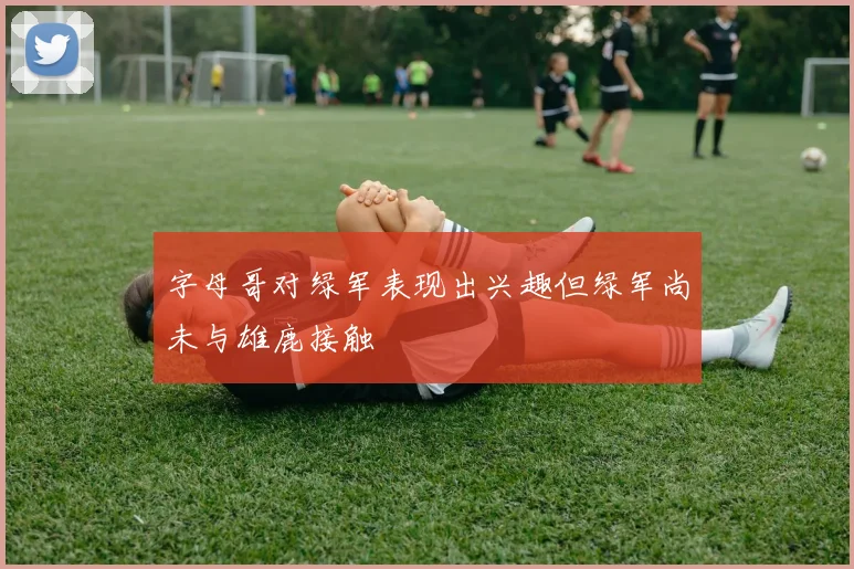字母哥对绿军表现出兴趣但绿军尚未与雄鹿接触